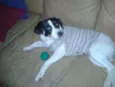 Molly