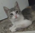 Luninha 