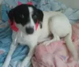 Molly