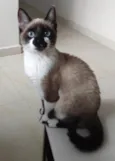 Mimi