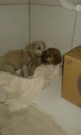 Tina e Xuxa