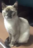 Princesa 
