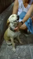 Ainda sem nome