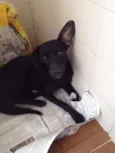 Bolt
