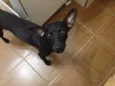 Bolt
