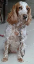 Ninna