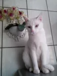 CARMINHA