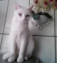 CARMINHA