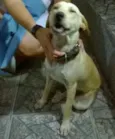 Ainda sem nome