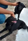 Preta e Pretinha