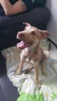 DESIREÉ