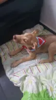 DESIREÉ