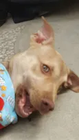 DESIREÉ