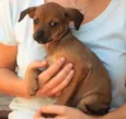 Dora