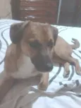 Scooby