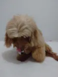 Não sei!
