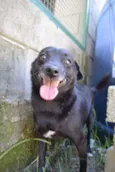 BRUNINHO - Um anjinho!