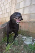 BRUNINHO - Um anjinho!
