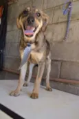 NETO, uma fofura!