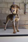 NETO, uma fofura!