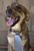 NETO, uma fofura!