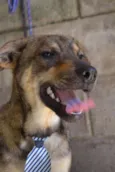 NETO, uma fofura!