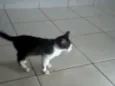 Nena
