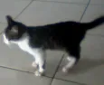 Nena