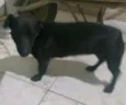 Neguinha