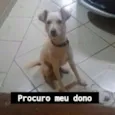 encontrado