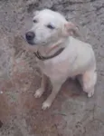 encontrado