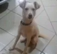 encontrado