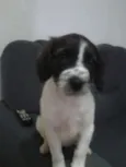 sem nome