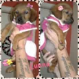 Lunna