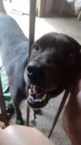 Juanito