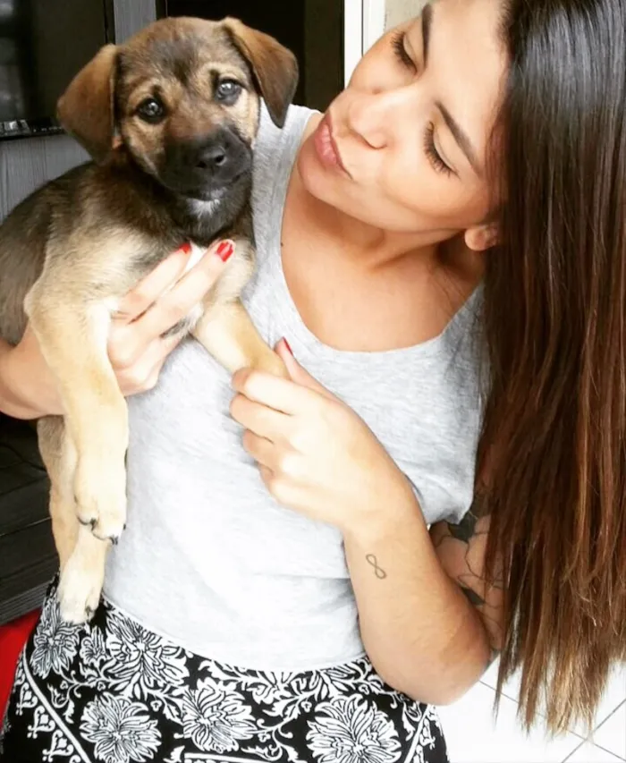 Cachorro ra a Vira lata idade 2 a 6 meses nome Jade