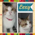 lexy!!!