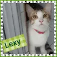 lexy!!!