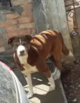 Não sabemos