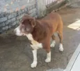 Não sabemos