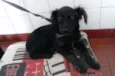 Kiki