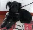 Kiki