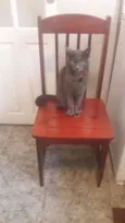 Charles