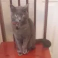 Charles
