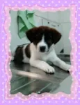 princesa