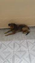 Não tem