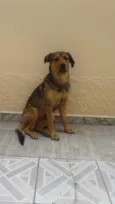 Não tem