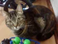 Nina