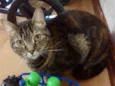 Nina