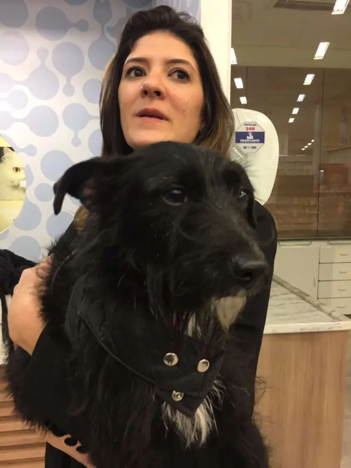 Cachorro ra a Viralata idade 1 ano nome Não sei